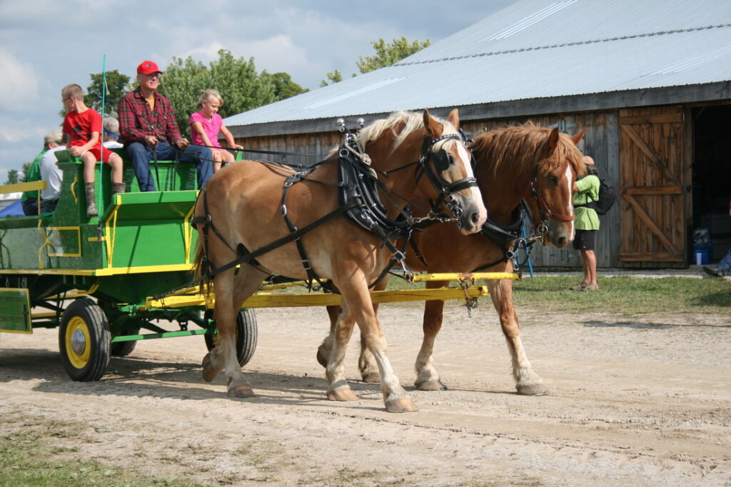 2014-bruce-county-92